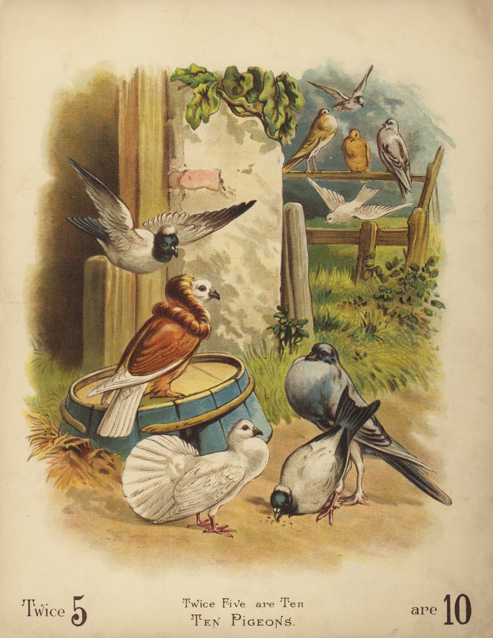Dez Pombos (cromolitho) de English School