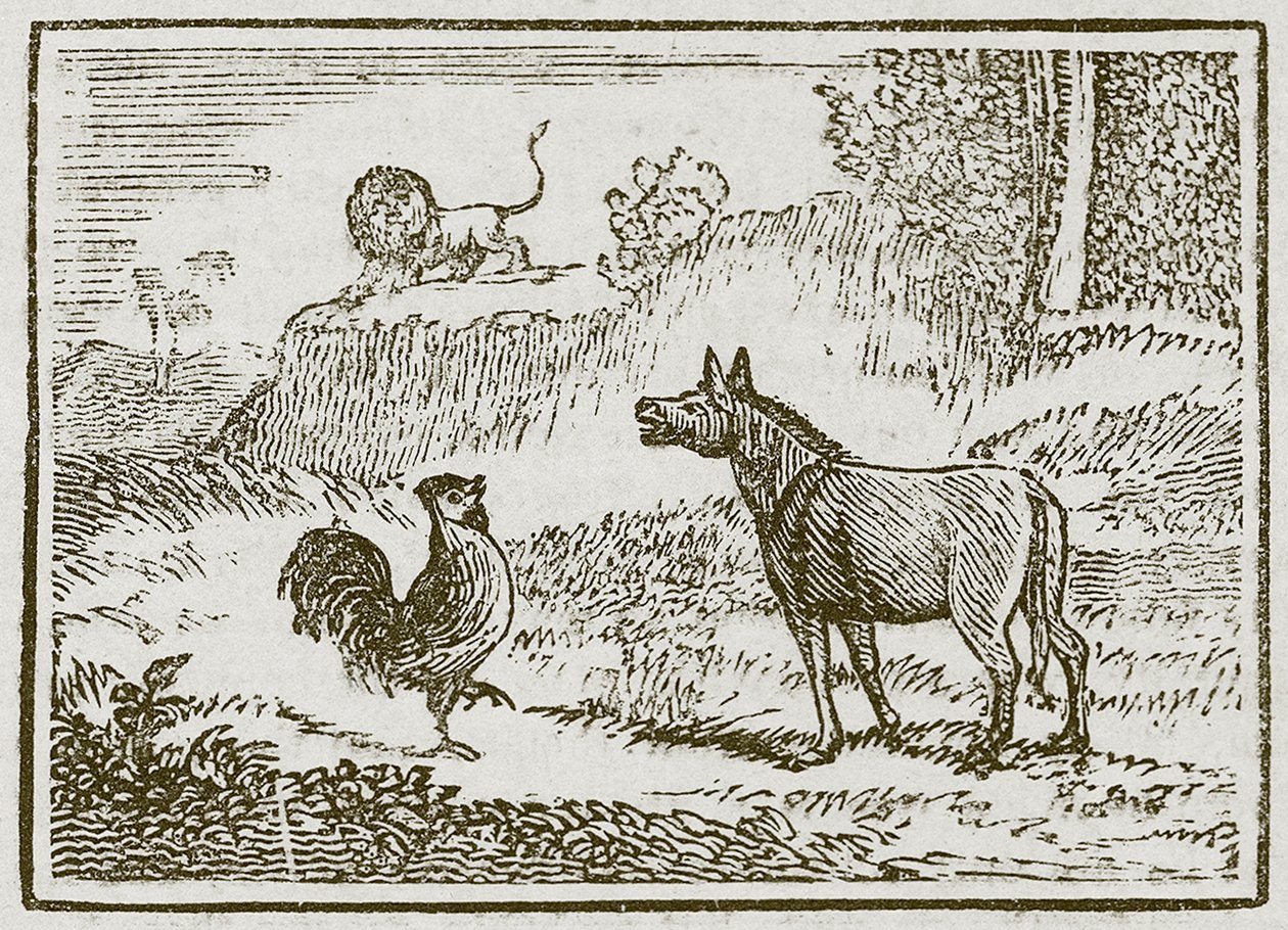 O asno, o leão e o galo (gravura) de English School