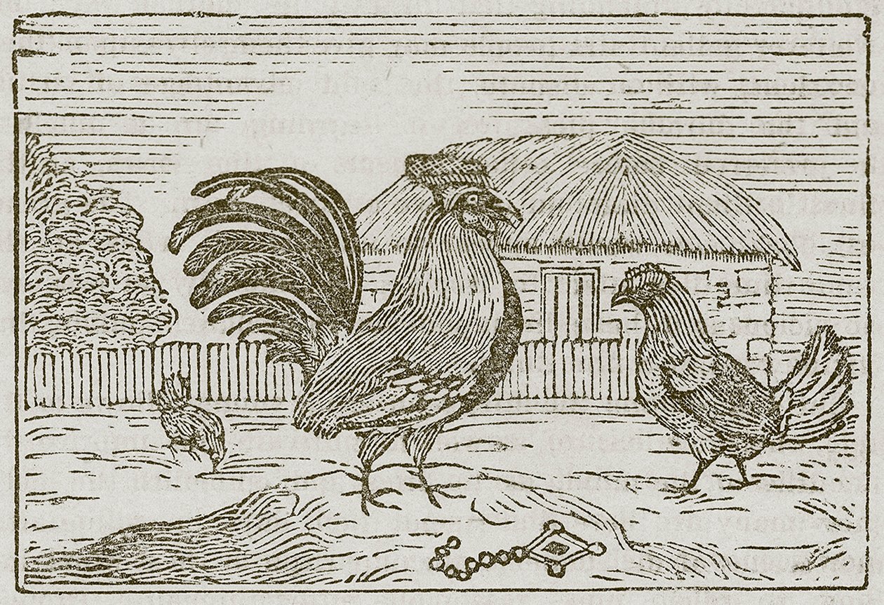 O galo e a joia (gravura) de English School