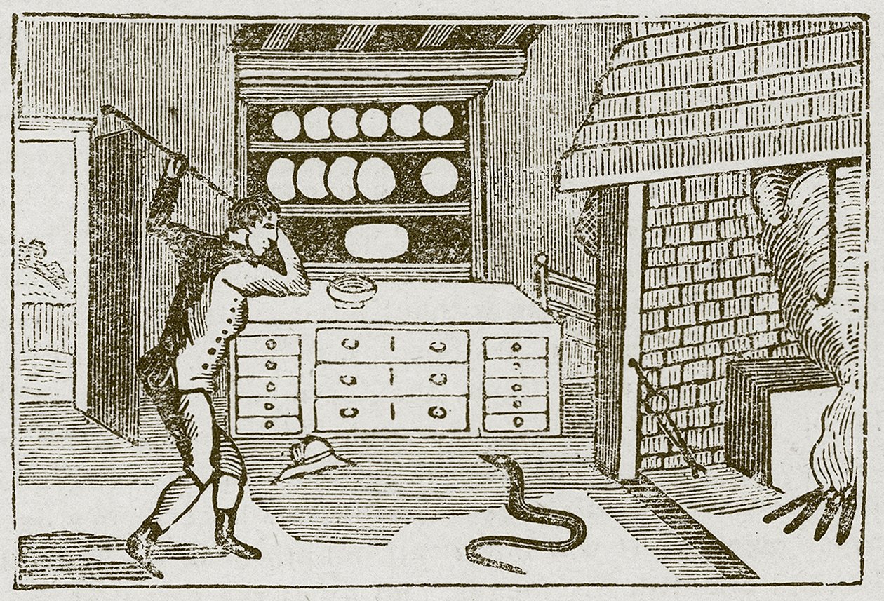 O campónio e a serpente (gravura) de English School