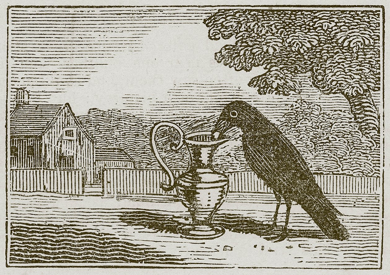 O corvo e o cântaro (gravura) de English School
