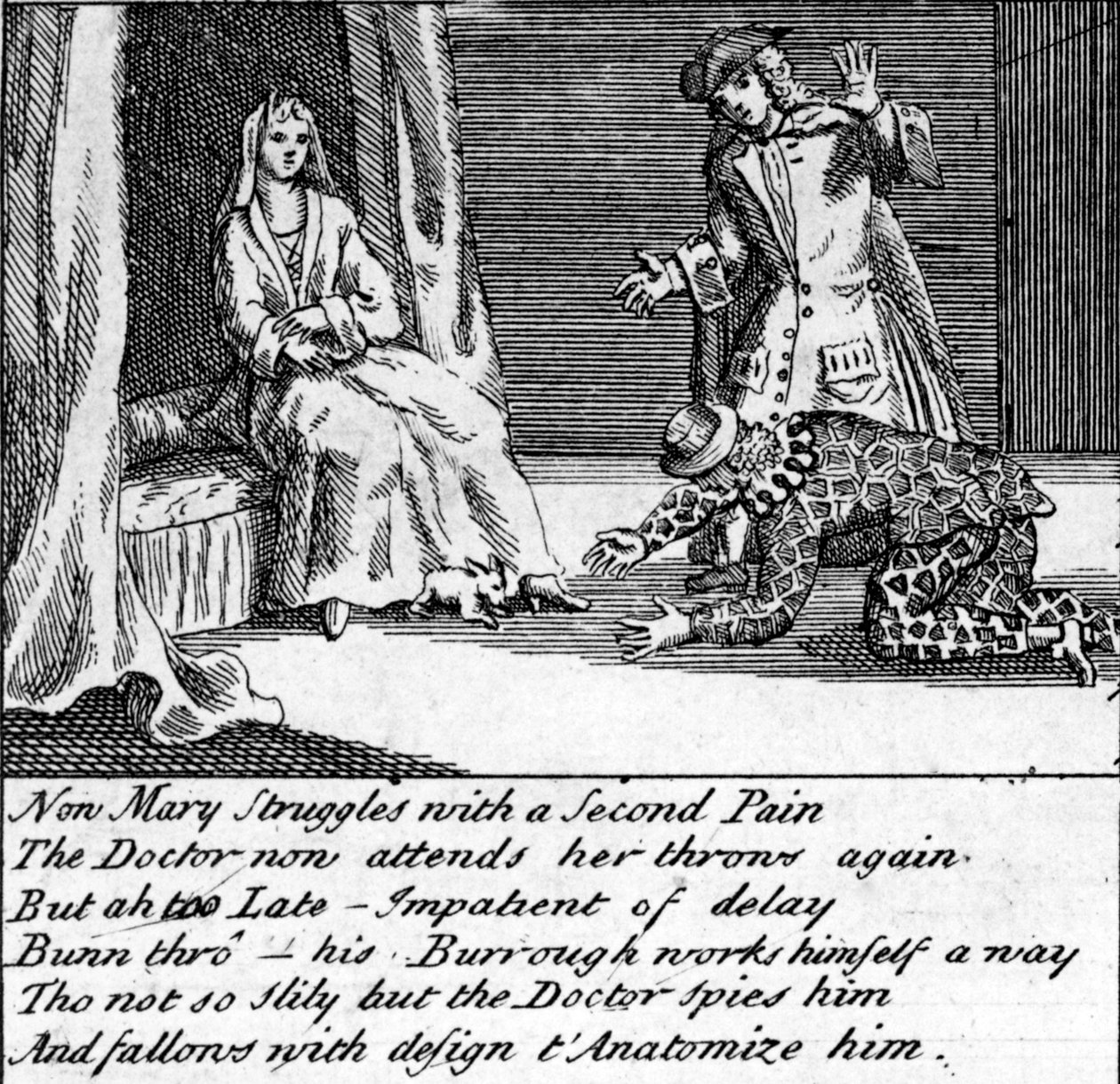 O Doutor em Trabalho, ou o New Whim Wham de Guildford, c.1726 de English School