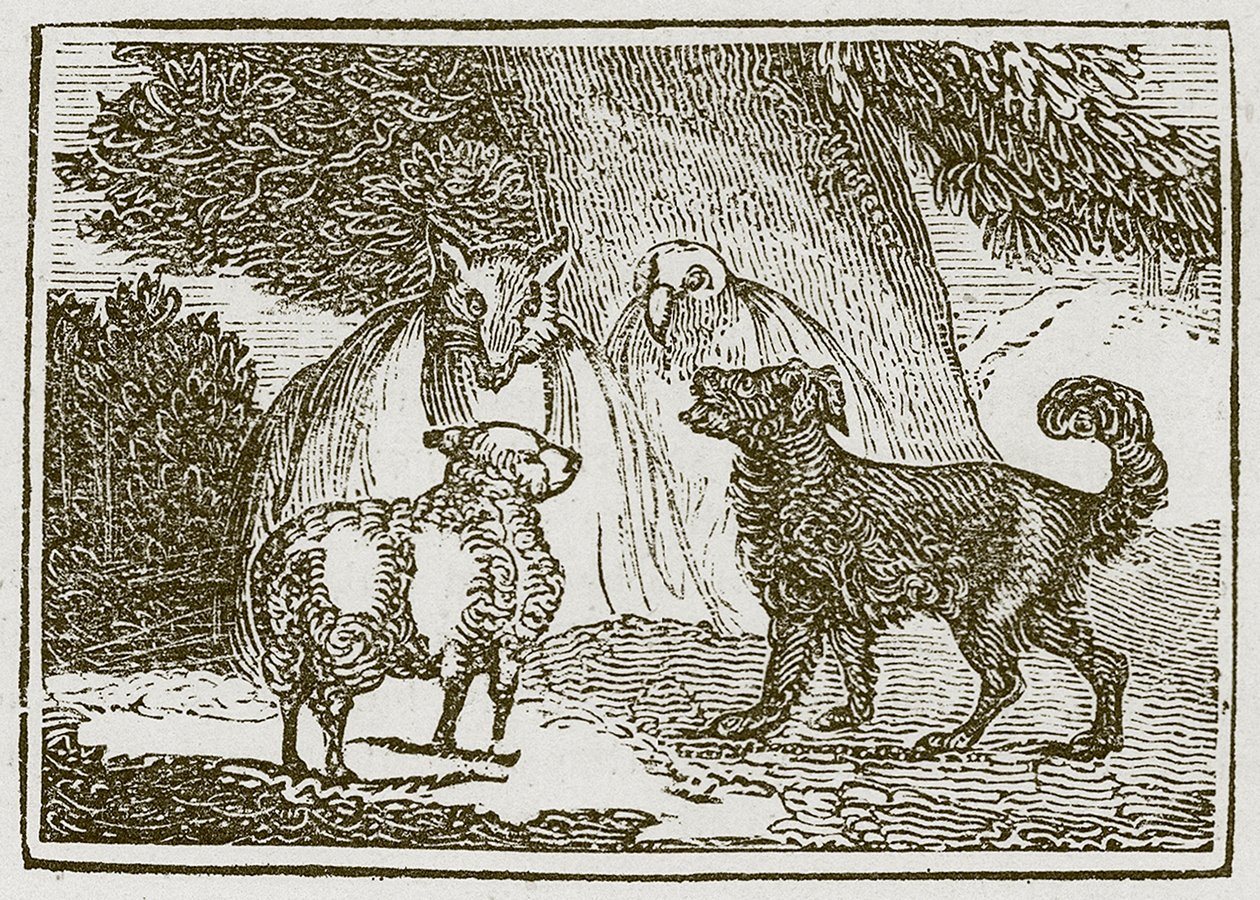O cão e a ovelha (gravura) de English School