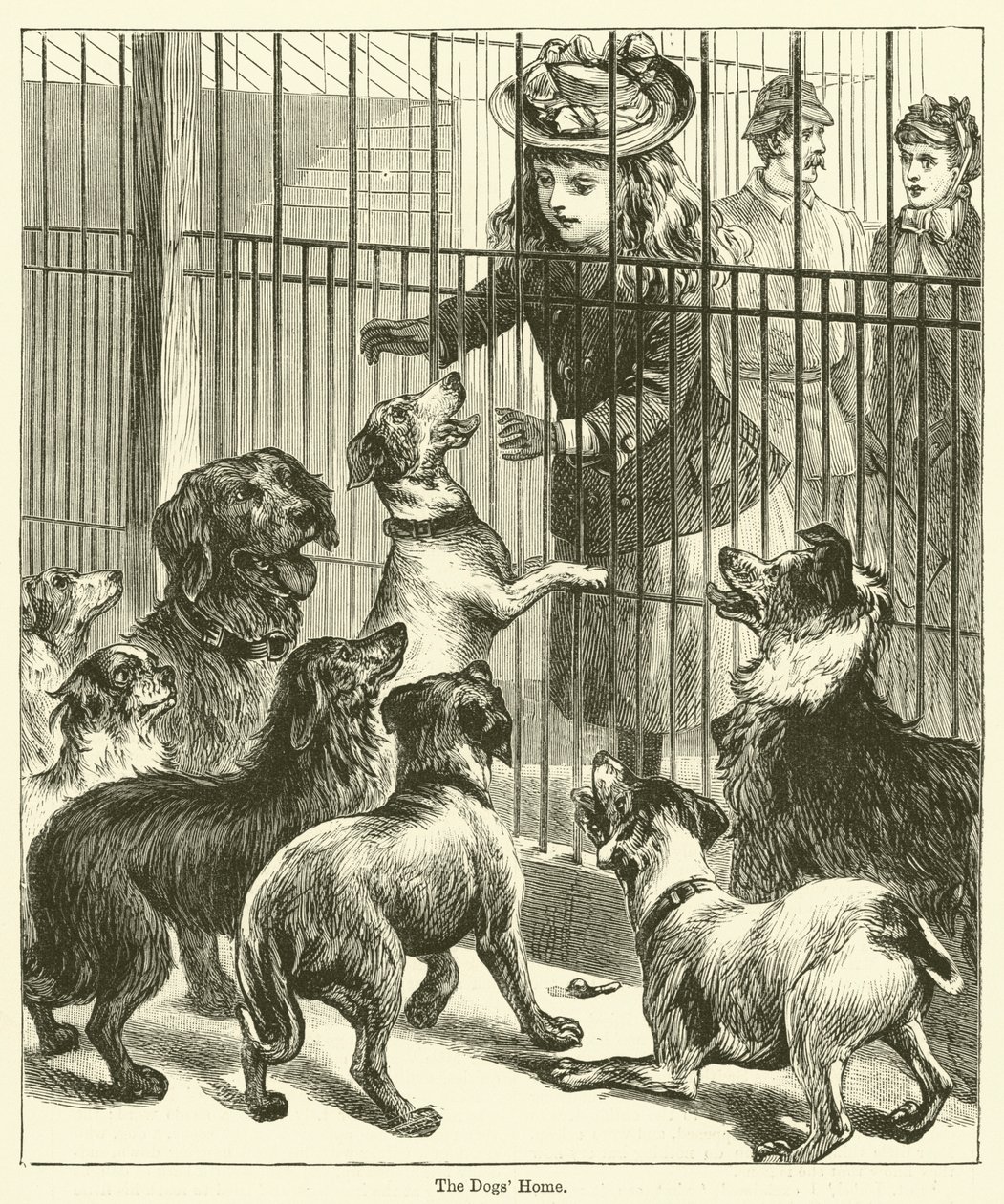 A casa dos cães (gravura) de English School