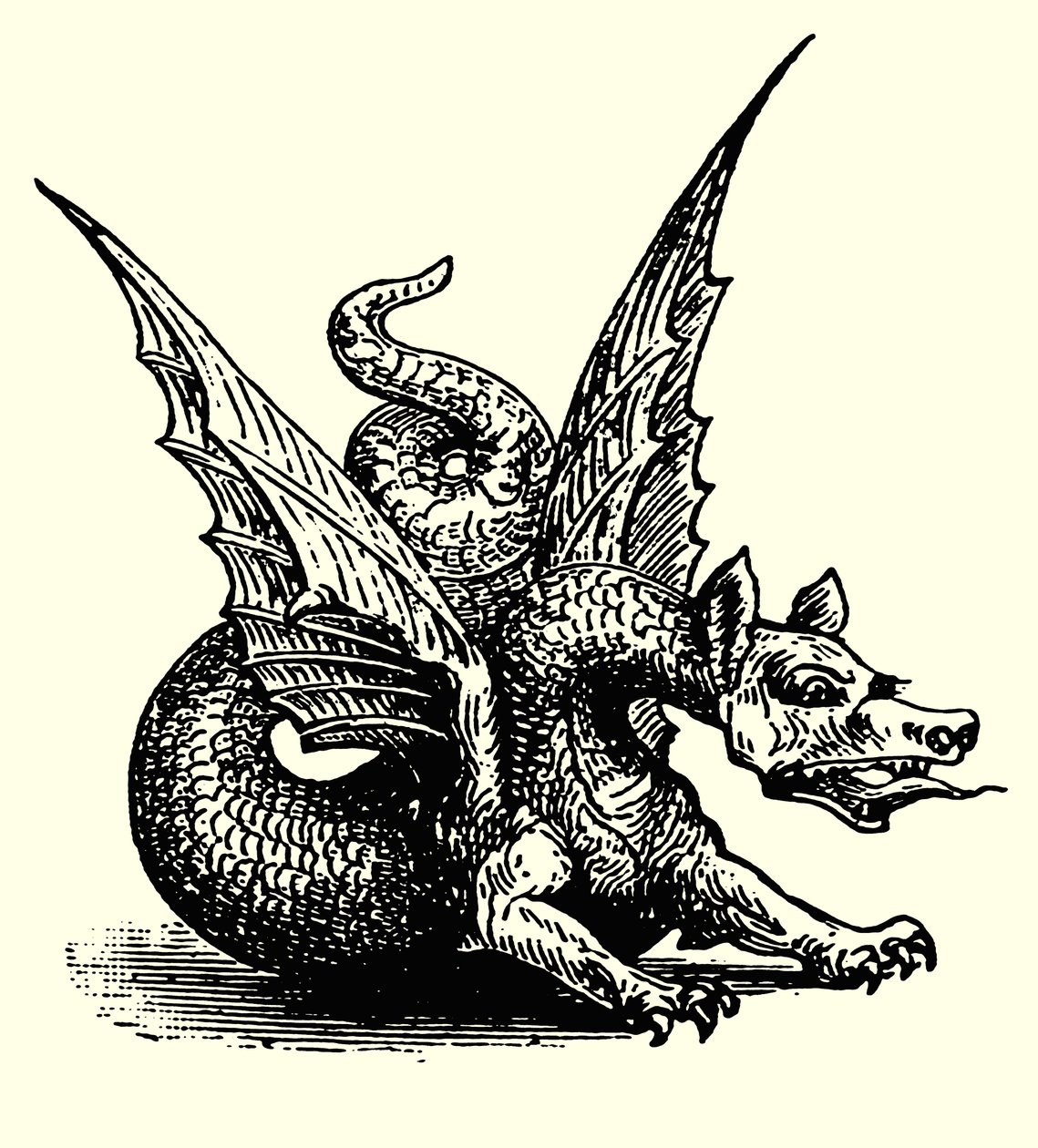 O Dragão da Fábula (gravura) de English School