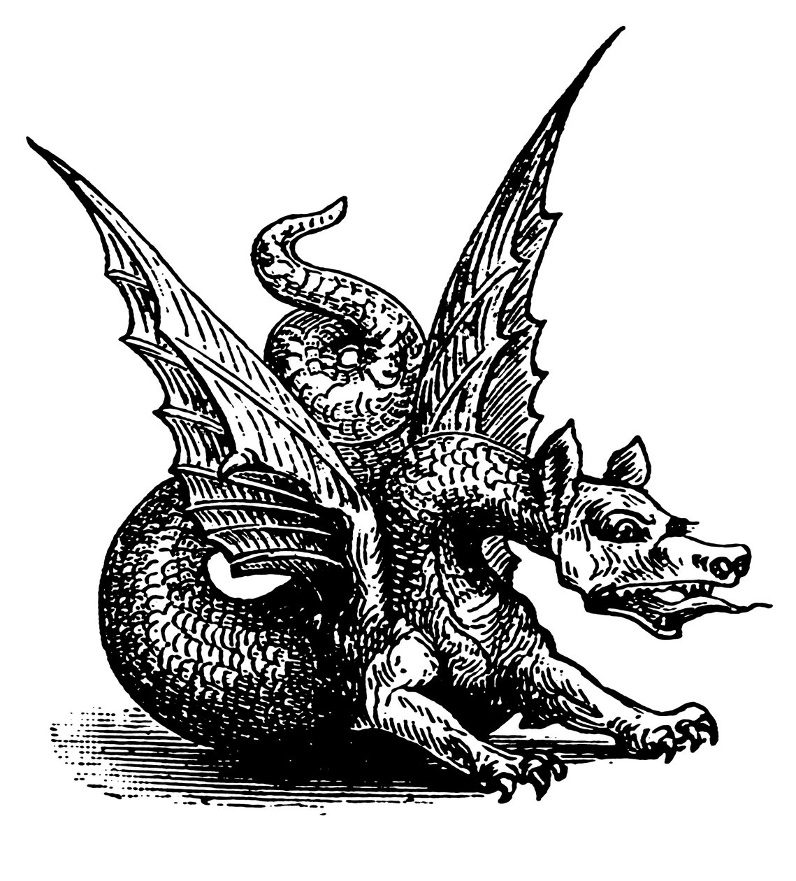O Dragão da Fábula (gravura) de English School