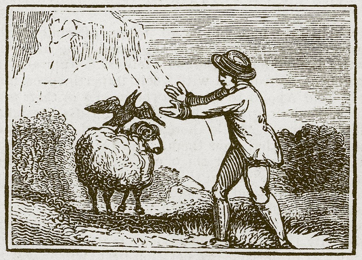 A águia e o corvo (gravura) de English School