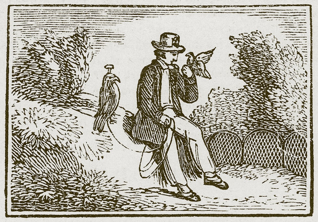 O Falcoeiro e a Perdiz (gravura) de English School