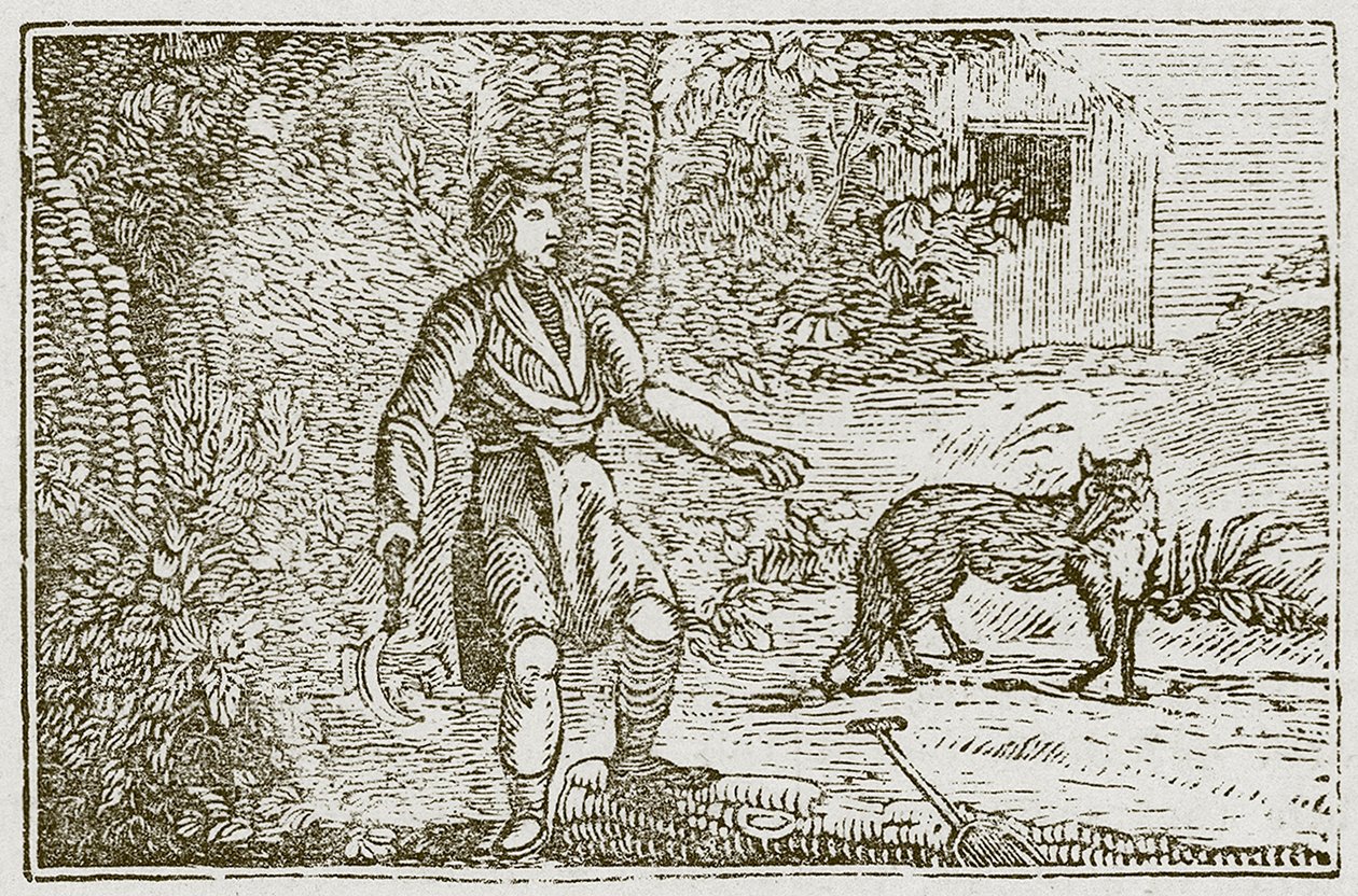 A raposa e o campónio (gravura) de English School