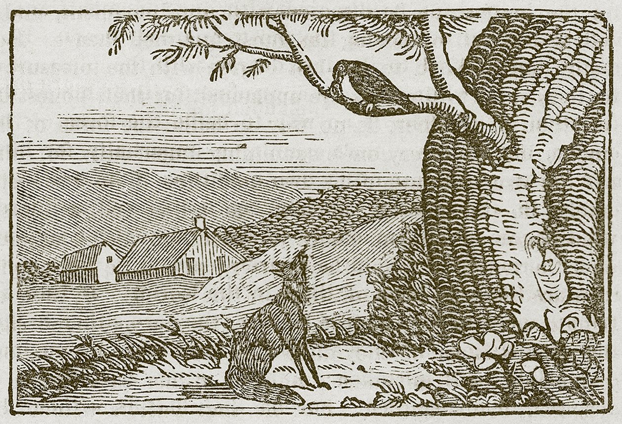 A Raposa e o Corvo (gravura) de English School