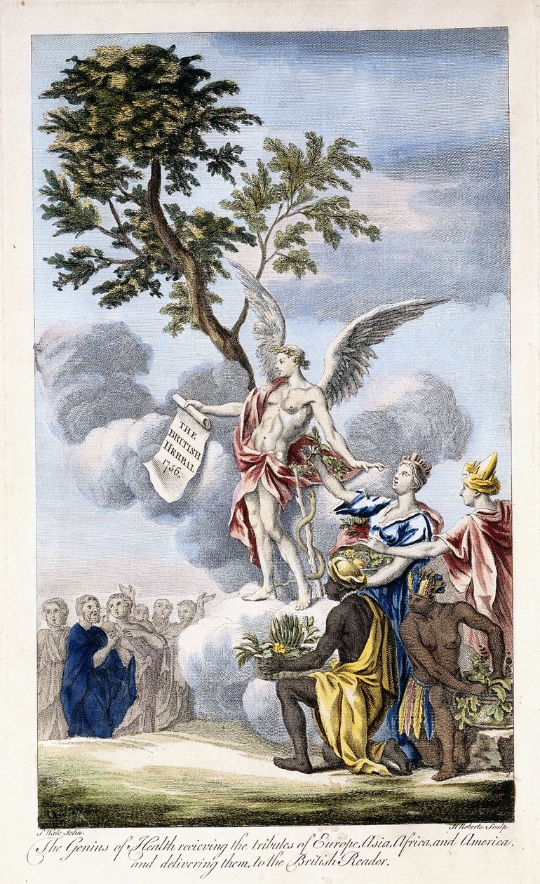 O Gênio da Saúde recebendo Europa, Ásia, África e América e entregando-as ao Leitor Britânico, 1756-1757 de English School