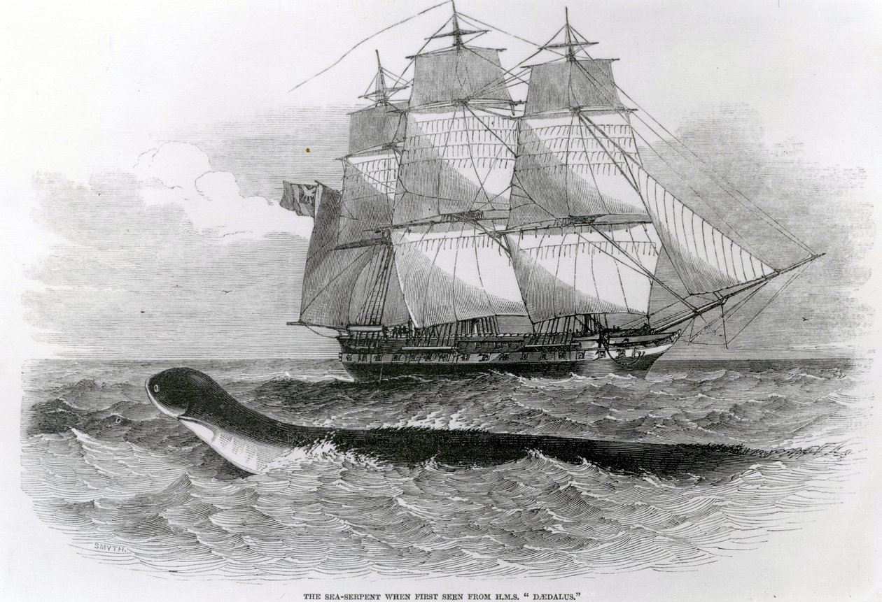 A Grande Serpente Marinha quando vista pela primeira vez a partir do HMS Daedalus de English School
