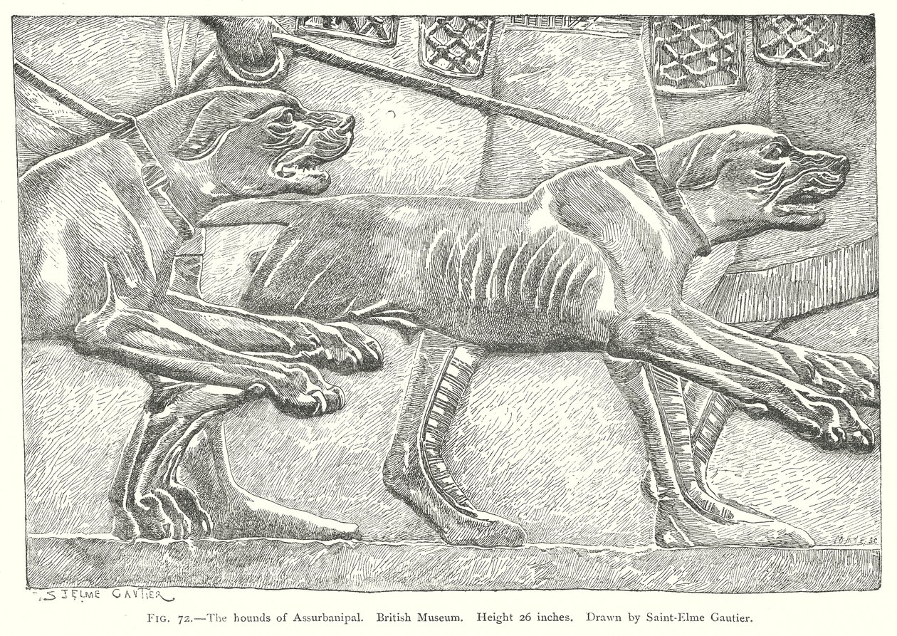 Os cães de caça de Assurbanipal. Museu Britânico (gravura) de English School