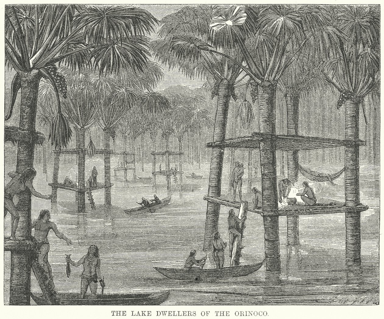 Os habitantes do lago do Orinoco (gravura) de English School
