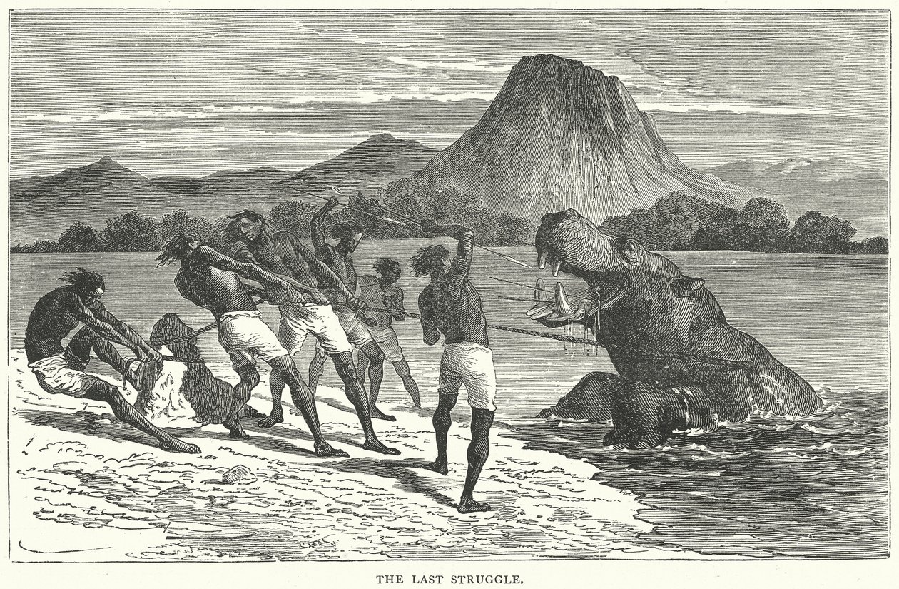 A Última Luta (gravura) de English School