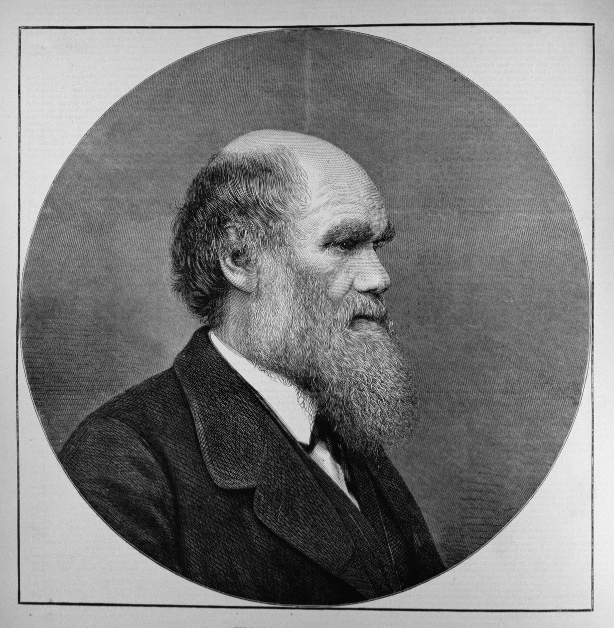 O falecido Sr. CR Darwin, FRS, LLD, de The Illustrated London News, 29 de abril de 1882 de English School