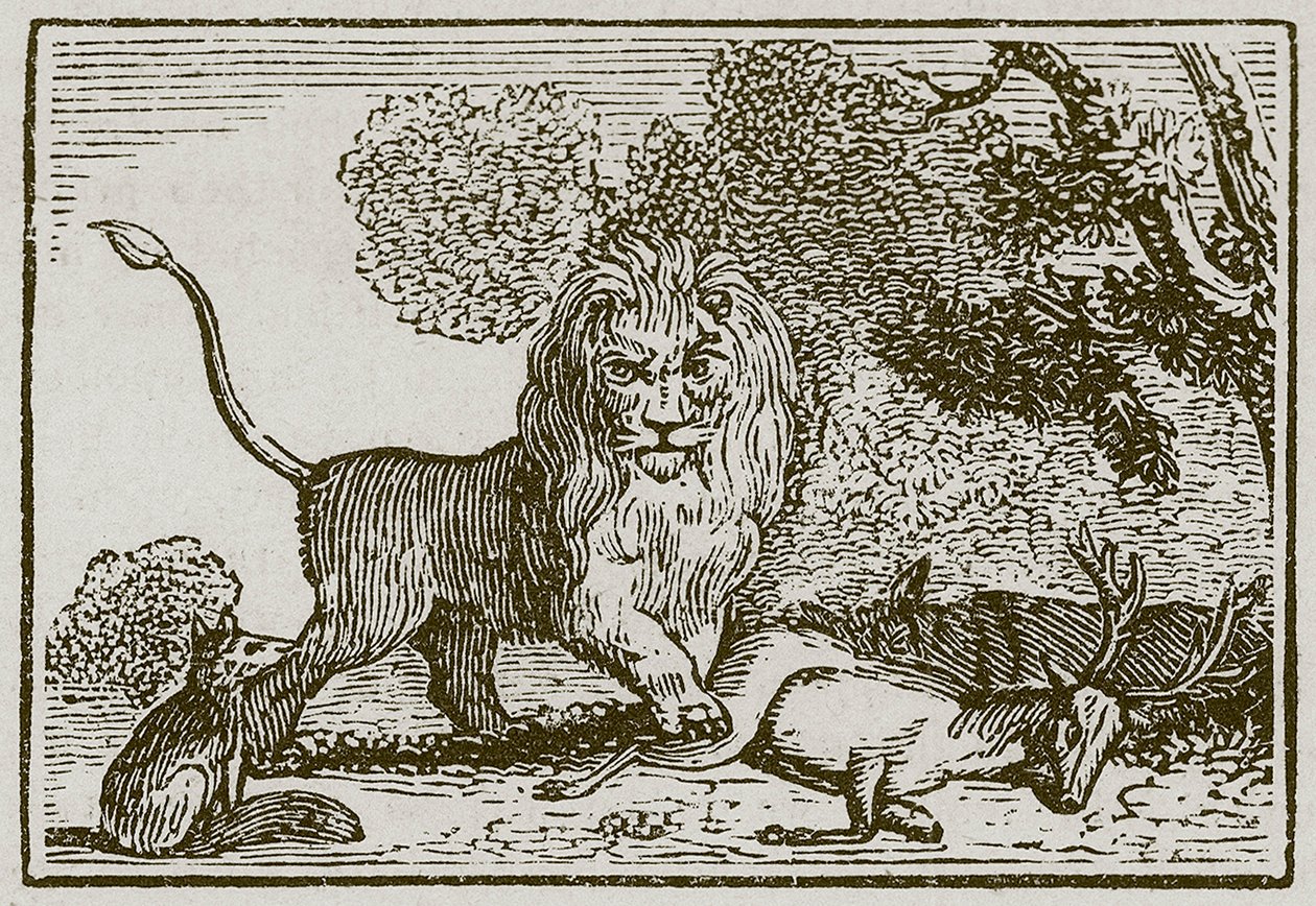 O Leão, o Asno e a Raposa (gravura) de English School