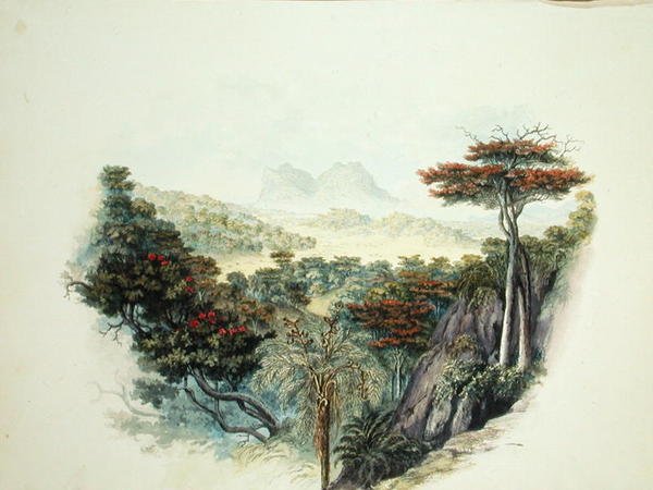 A Montanha, Ceilão (aguarela sobre papel) de English School