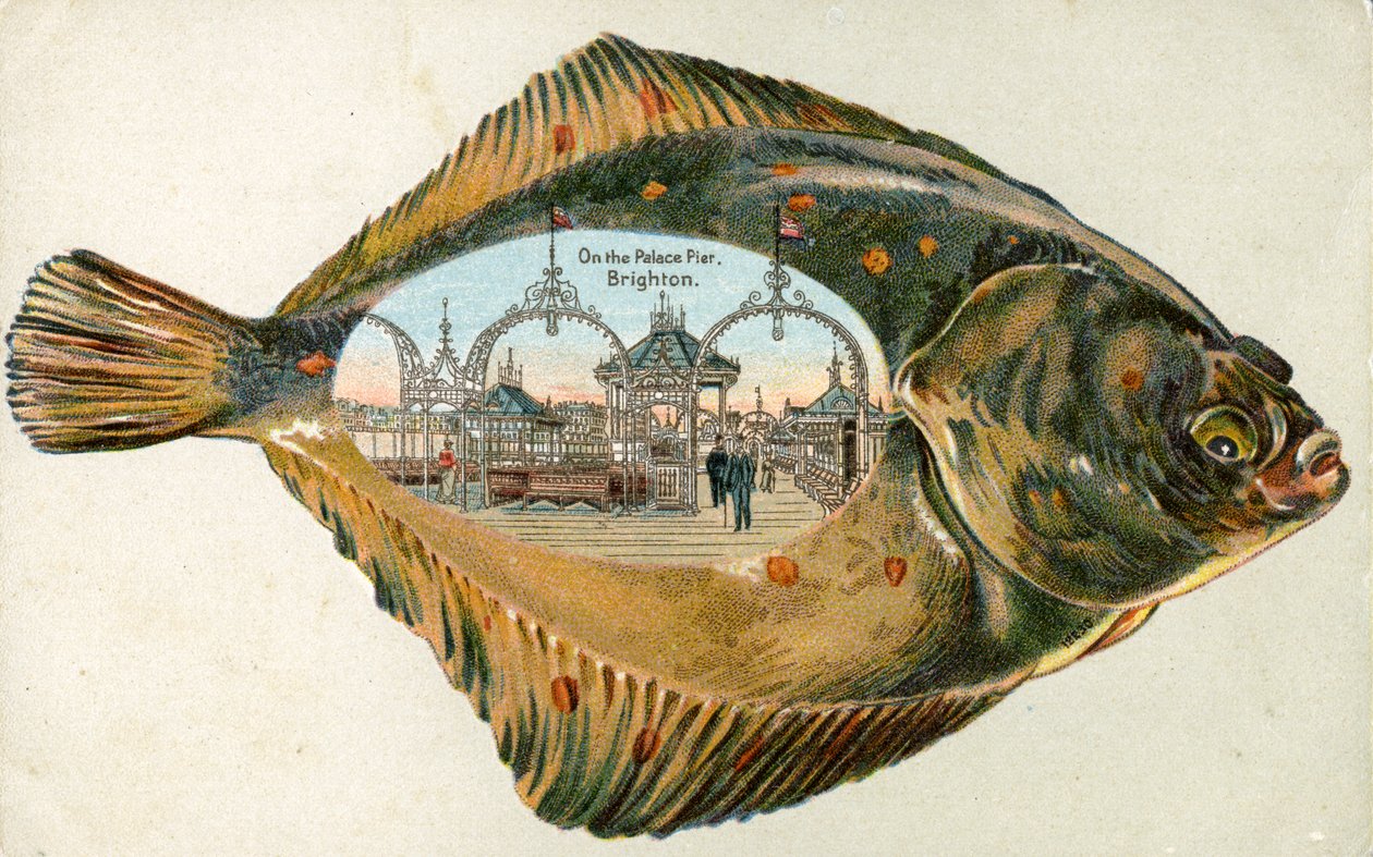 O Pier do Palácio, Brighton dentro de uma sola, 1880-1900 de English School