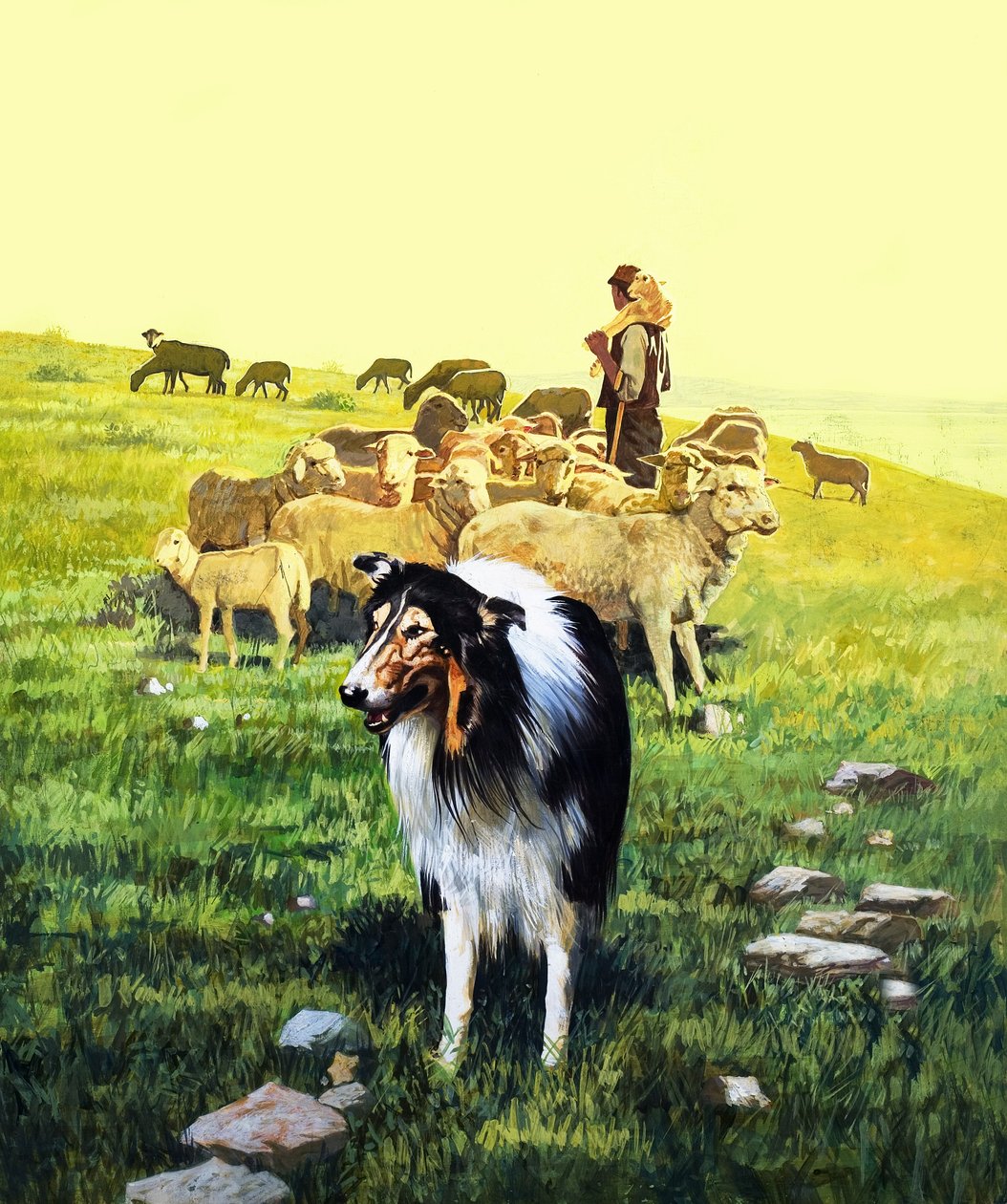 O cão pastor, ilustração de "Once Upon a Time de English School