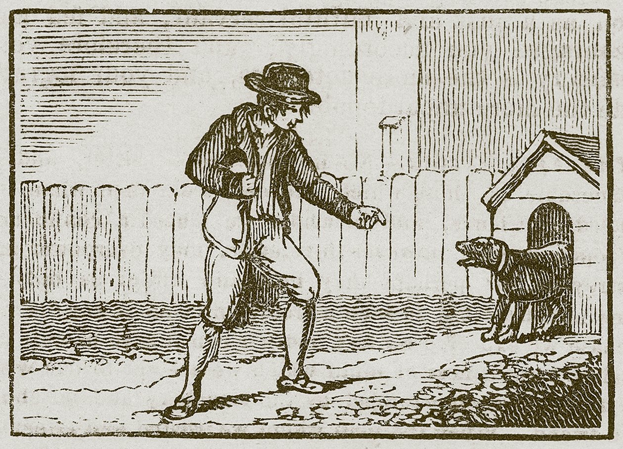 O Ladrão e o Cão (gravura) de English School