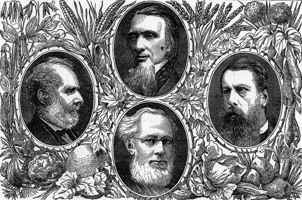 O Sistema Vegetariano - Alguns dos principais membros da Sociedade Vegetariana, publicados em The Graphic, 1874 de English School