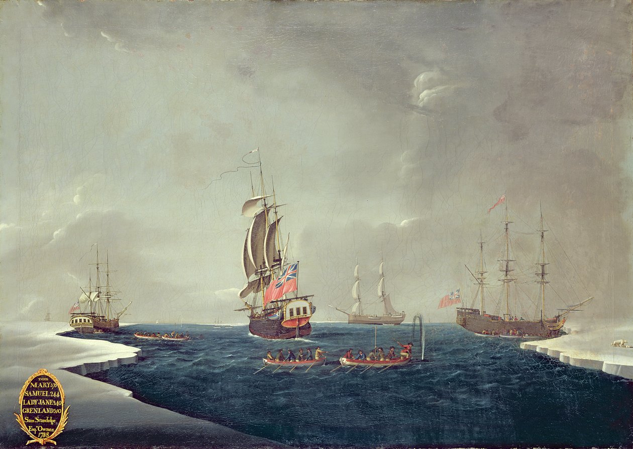A frota baleeira de Sir Samuel Standidge de English School