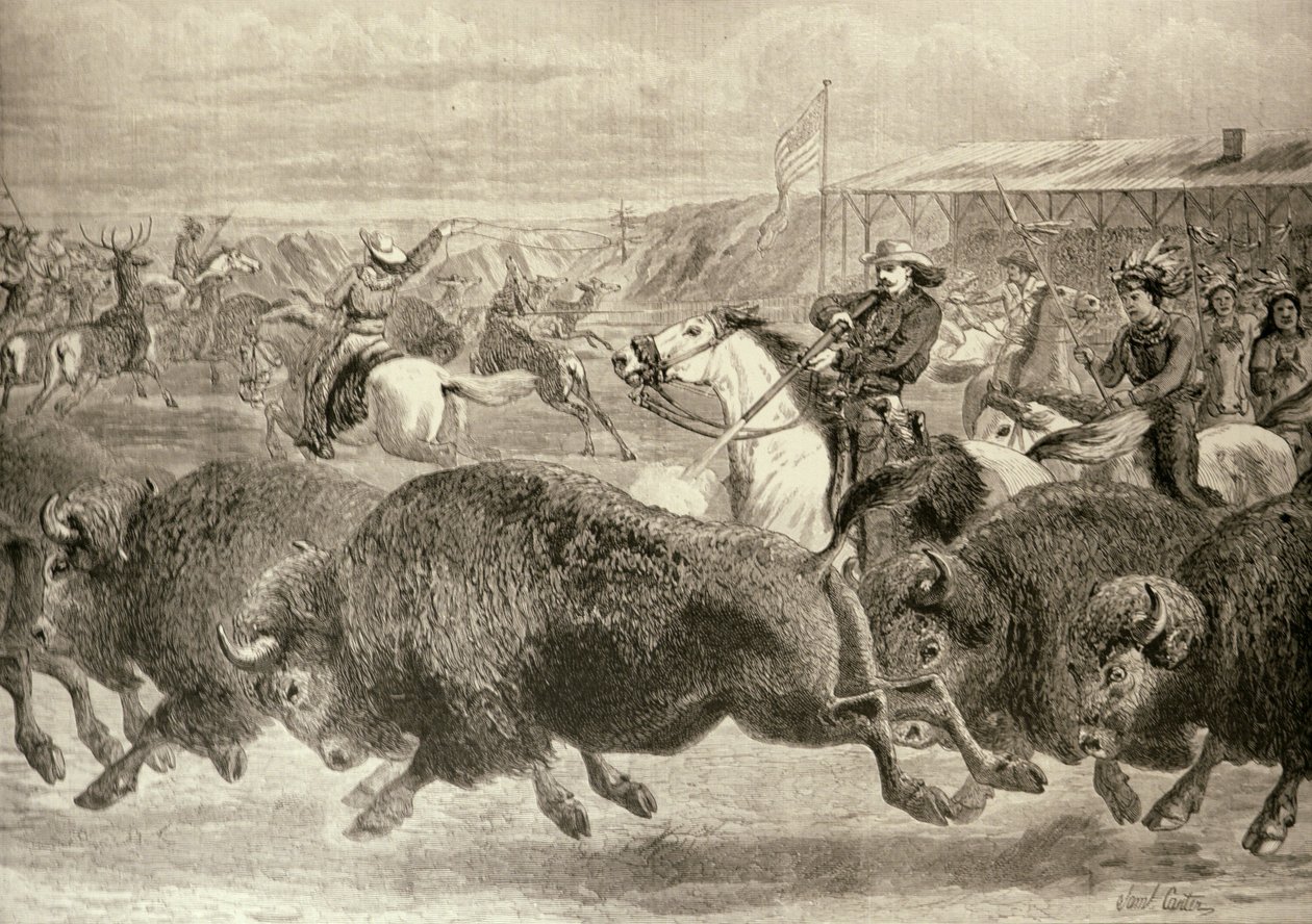 O &39;Velho Oeste&39; na Grande Exposição Americana: Bison Bison and Wapiti Deer, de &39;The Illustrated London News&39;, 18 de junho de 1887 de English School