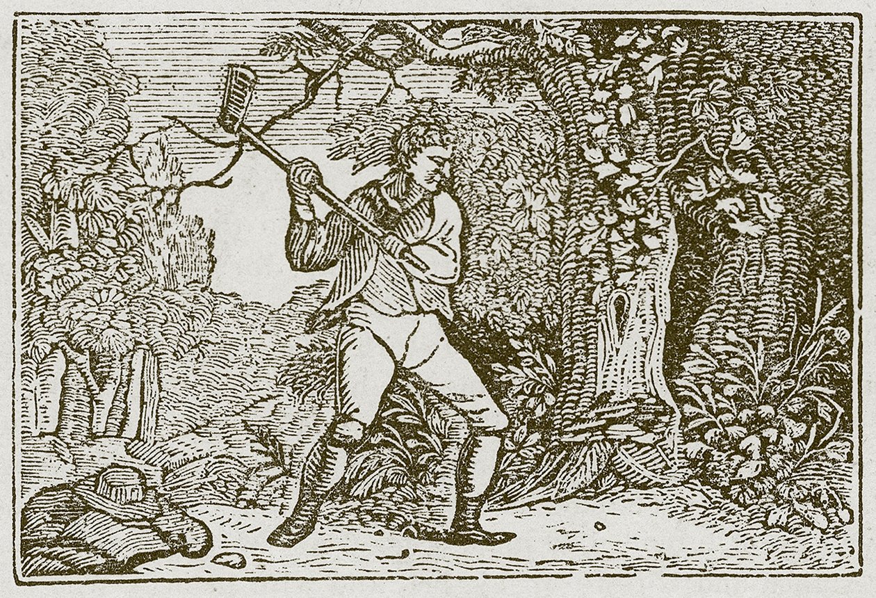 O Bosque e o Palhaço (gravura) de English School