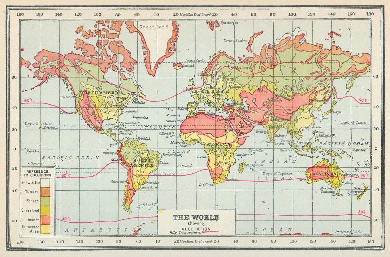 O mundo mostrando a vegetação (litografia a cores) de English School