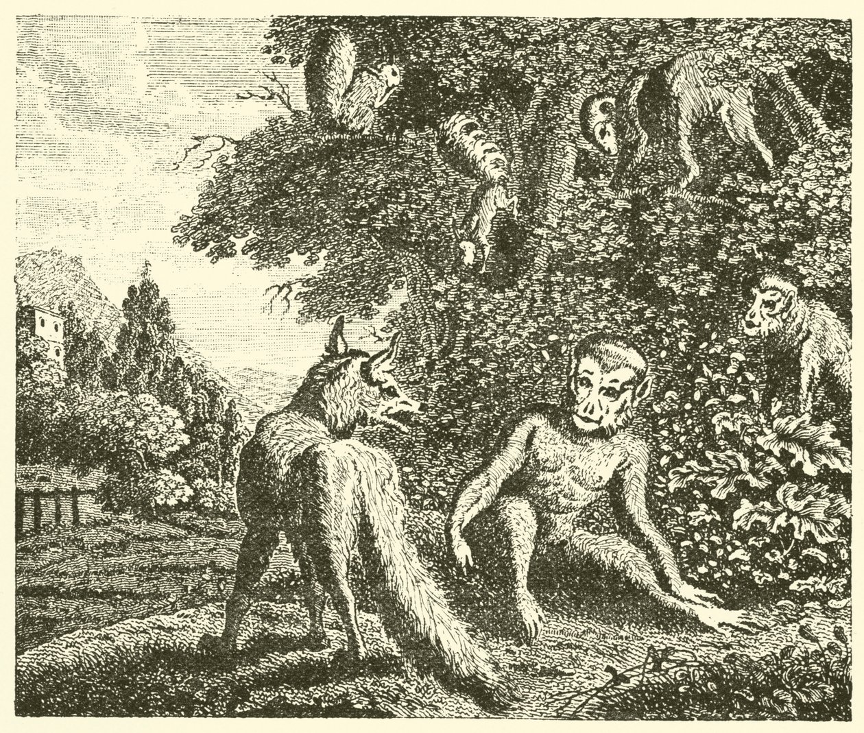 O macaco e a raposa (gravura) de English School