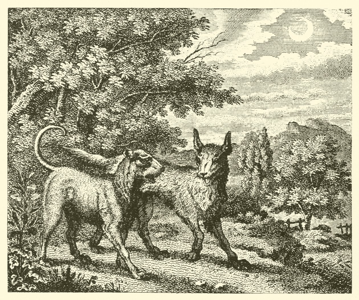 O cão e o lobo (gravura) de English School