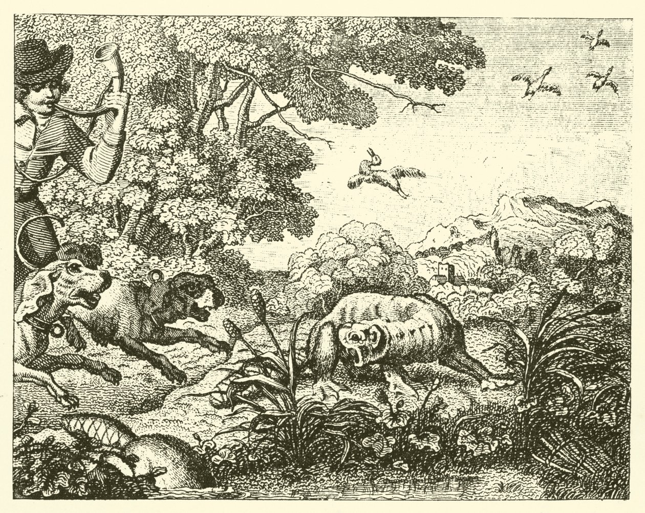 O castor caçado (gravura) de English School