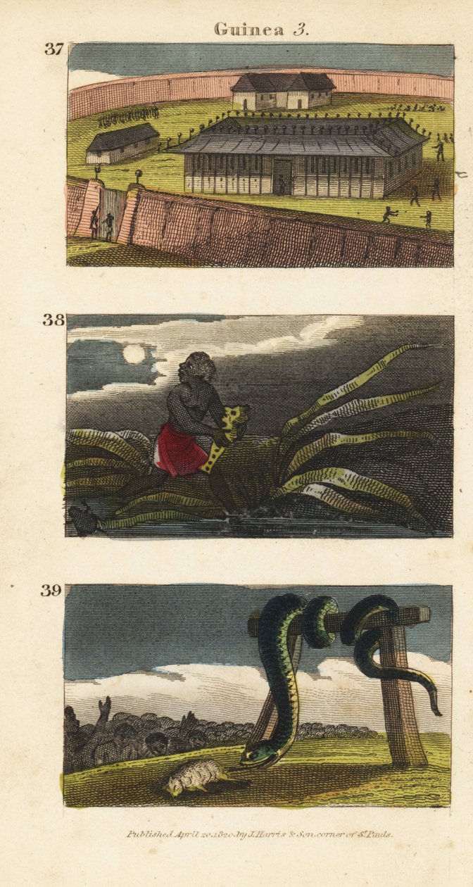 O palácio do Rei de Dahomey em Abomey 37, um homem africano escondendo um fetiche 38, e o povo de Whydah adorando uma enorme cobra 39 de English School