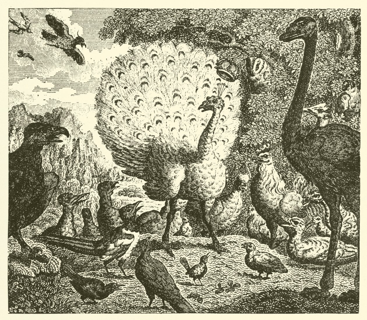 O pavão e a pega (gravura) de English School