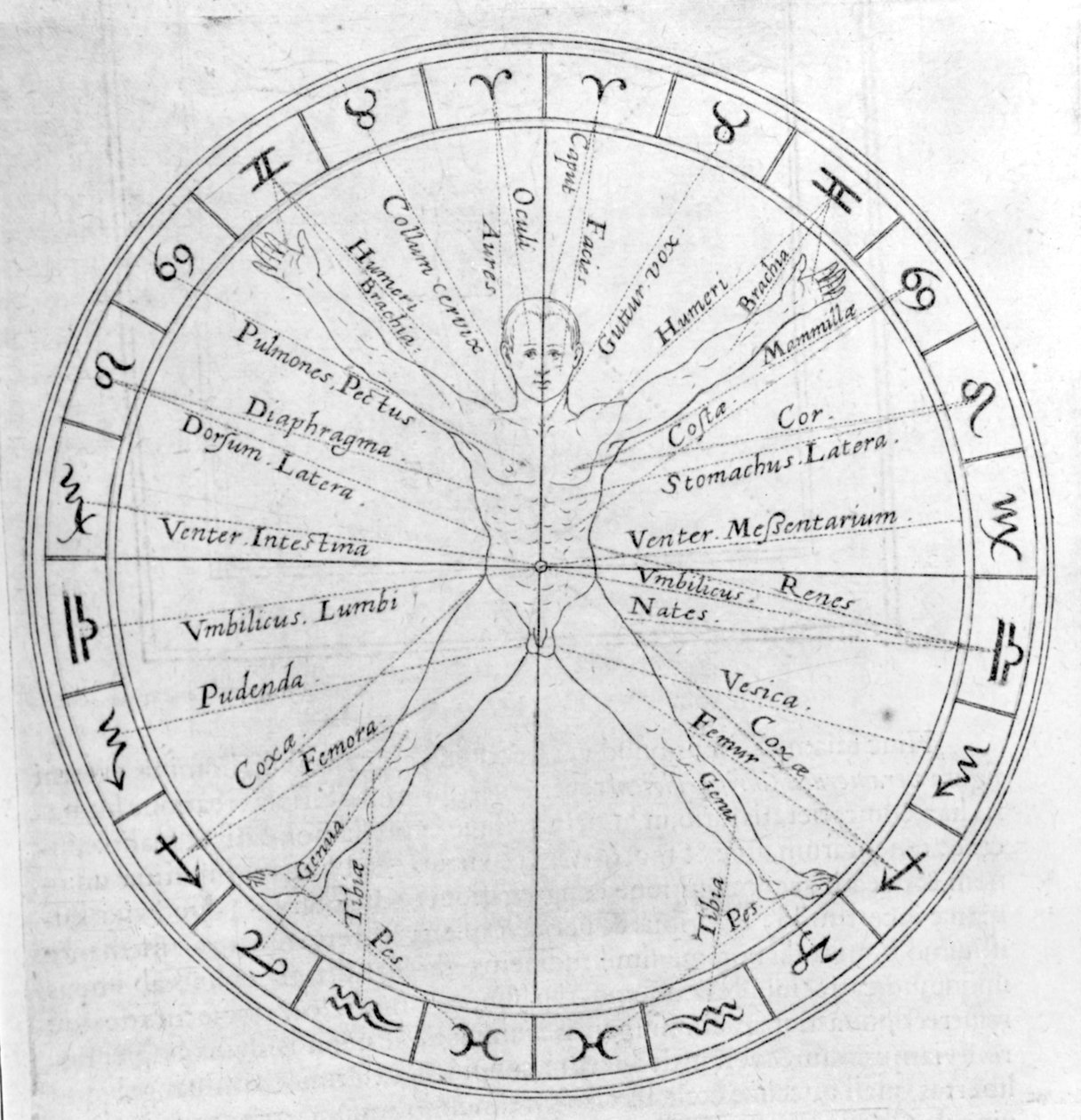 A ciência da fundição de horóscopos, de &39;Utriusque Cosmi Historia&39; de Robert Fludd, edição publicada em 1618 de English School