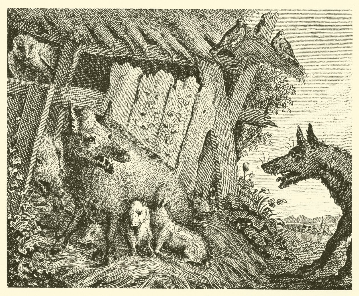 A porca e o lobo (gravura) de English School