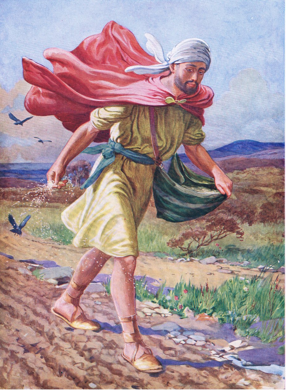 O semeador, de The Bible Picture Book publicado por Thomas Nelson, c.1950 (litografia a cores) de English School