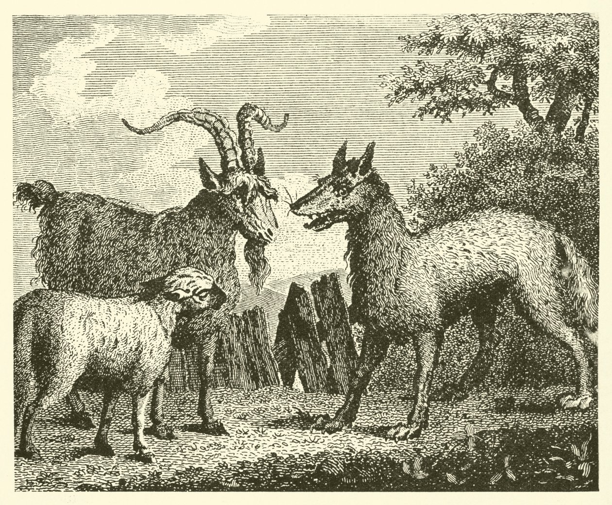 O lobo, o cordeiro e a cabra (gravura) de English School