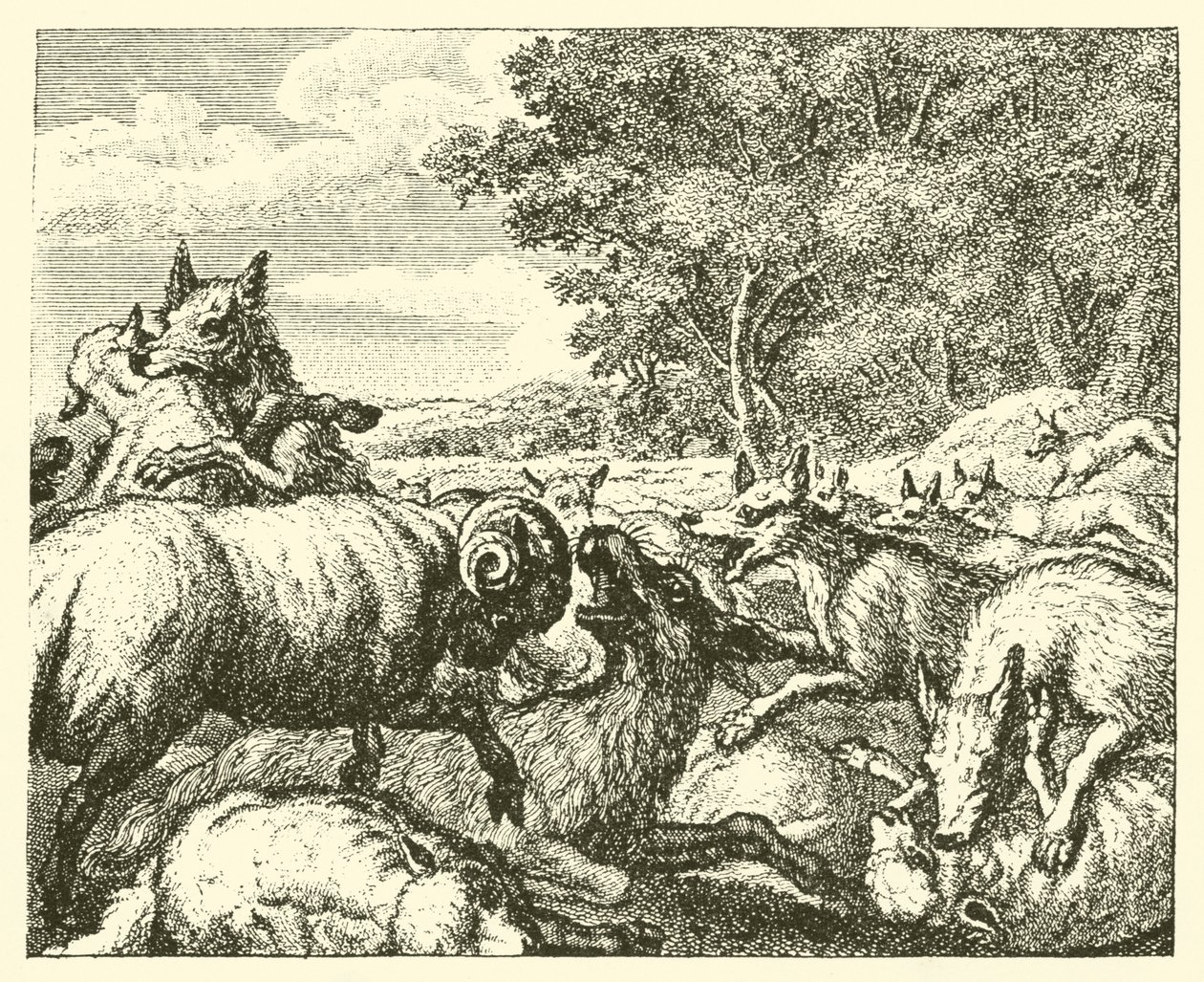 Os lobos e as ovelhas (gravura) de English School