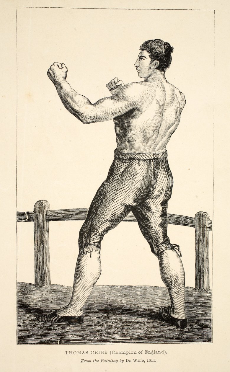 Thomas Cribb, campeão da Inglaterra, da pintura de De Wild de English School
