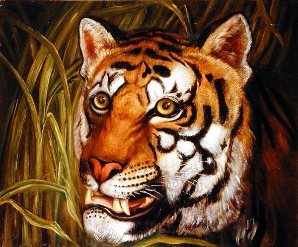 Tigre, tigre a arder em chamas... (óleo sobre tela) de English School