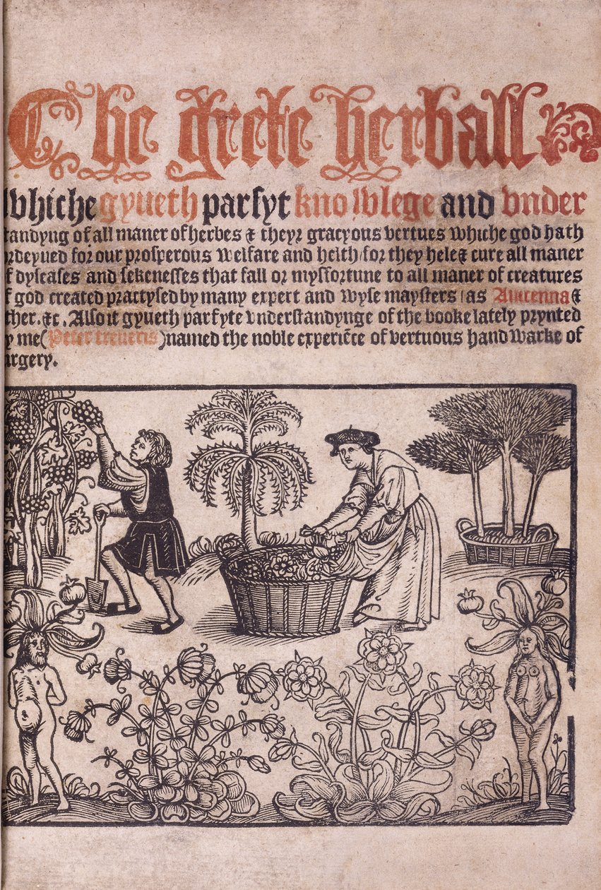 Página de título ilustrando uma cena de jardim com figuras, 1529 de English School