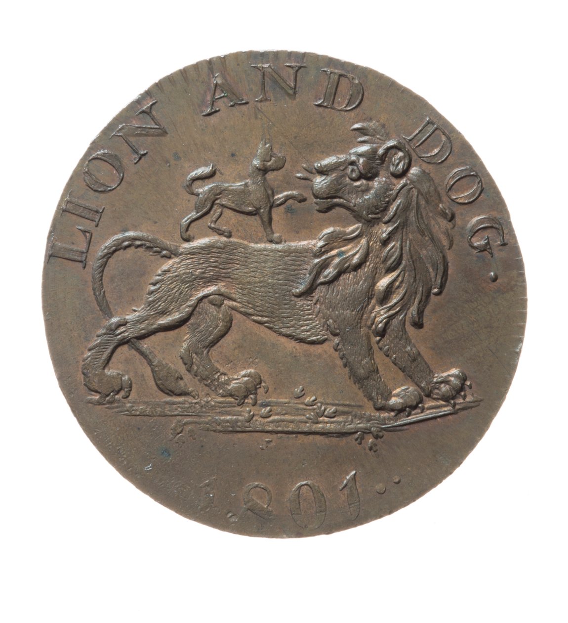 Token para Pidcock
