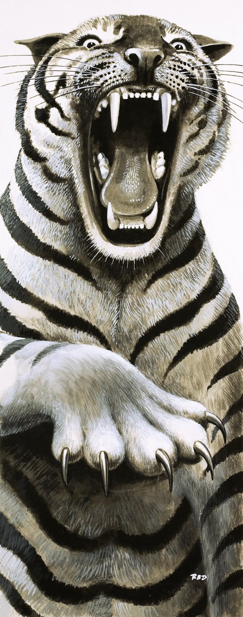 Dentes e garras de English School