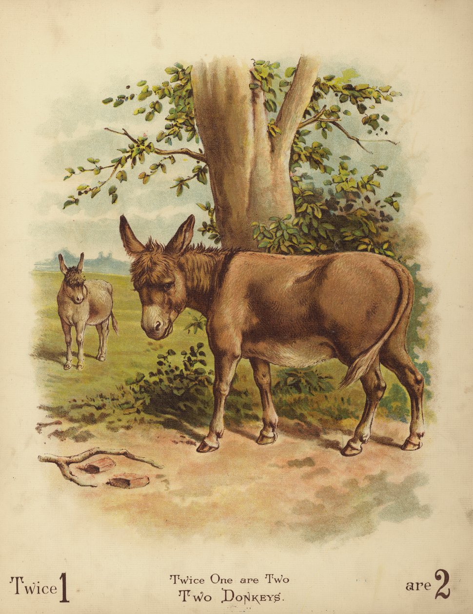 Dois burros (cromolitografia) de English School