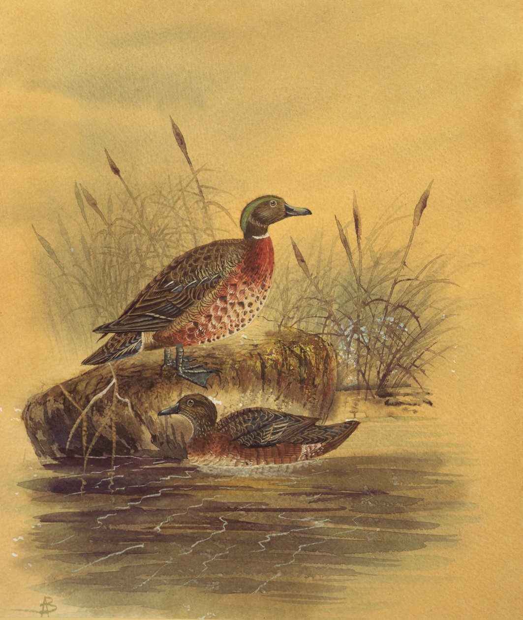 Dois patos por um banco Reeded, c.1890 (wc no papel) de English School