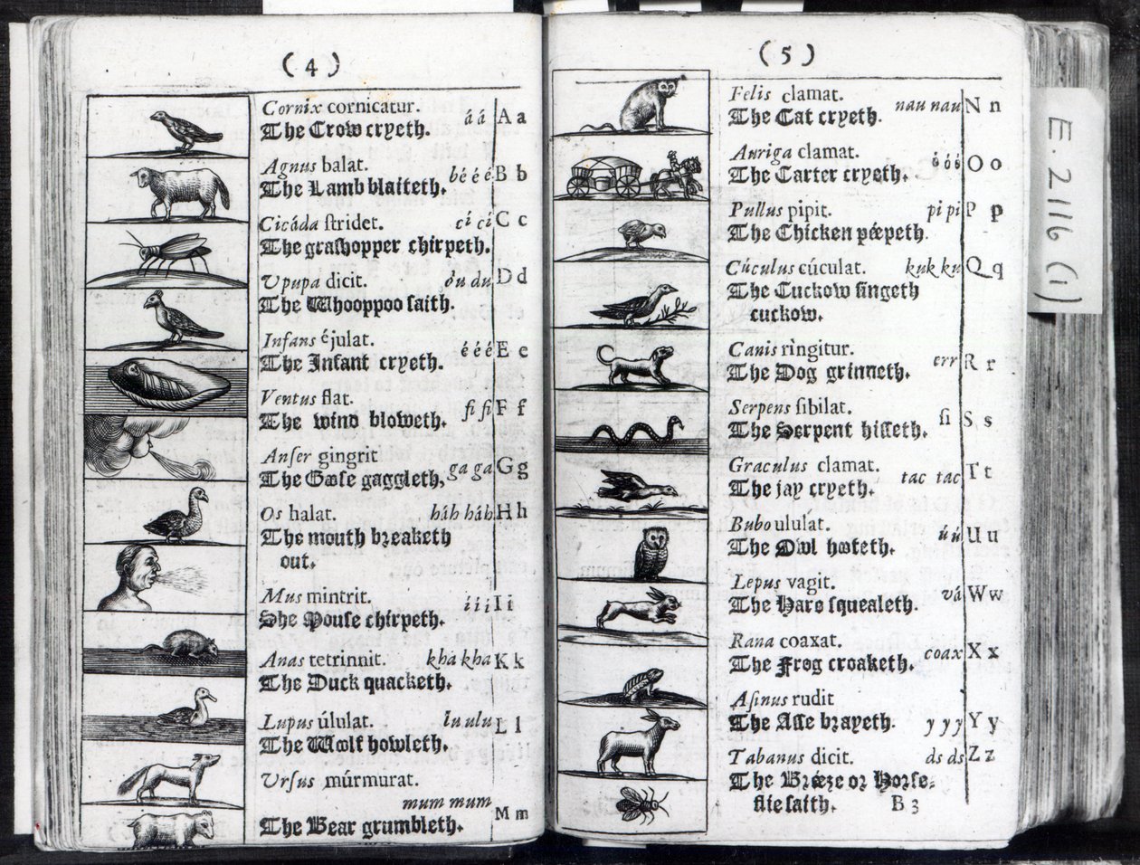Duas páginas Mundial Sensualium Pictus Comenius, 1659 de English School