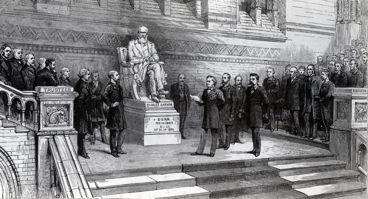 Desvelando a estátua do falecido Charles Darwin no Museu de História Natural, South Kensington, 9 de junho de 1885 de English School