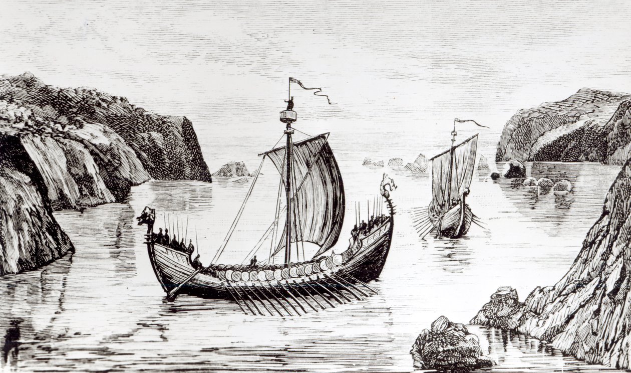 Navios Viking de English School
